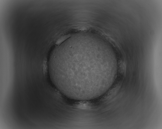 X0000100470612200806271143