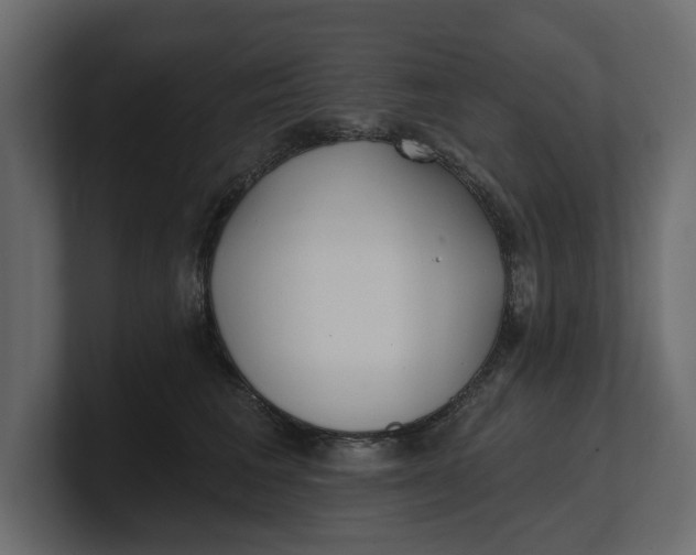 X0000100470613200806271143