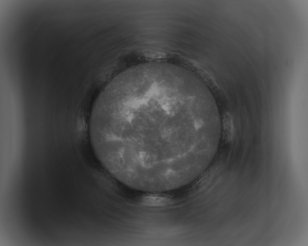 X0000100470614200806271143