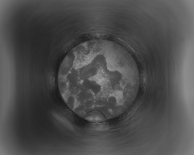 X0000100470615200806271143