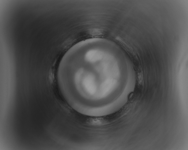 X0000100470618200806271143