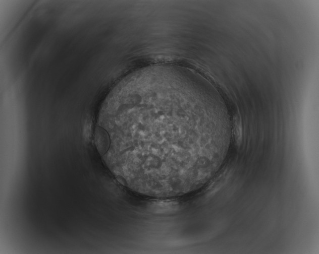 X0000100470619200806271143