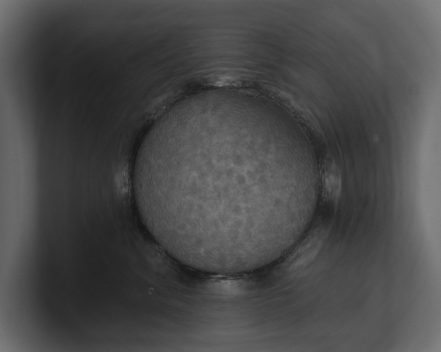 X0000100470620200806271143