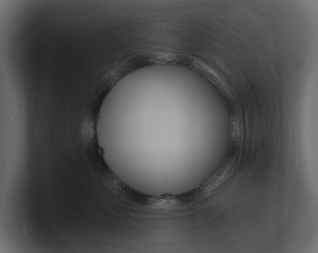 X0000100470621200806271143