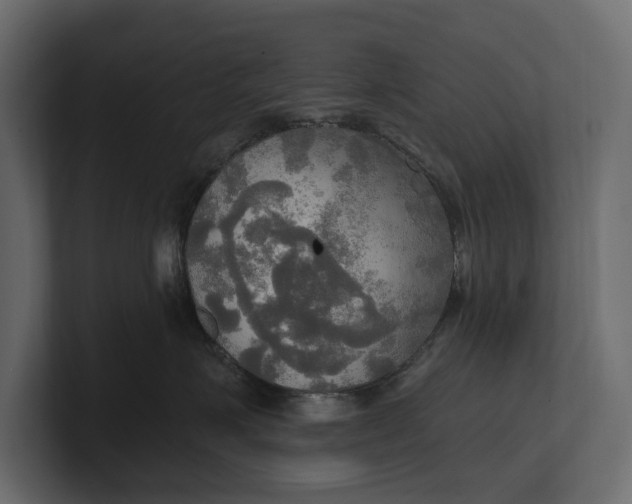 X0000100470623200806271143