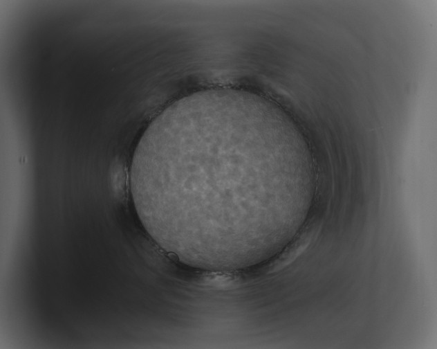 X0000100470624200806271143