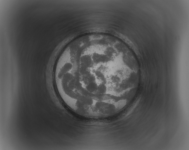 X0000100470625200806271142