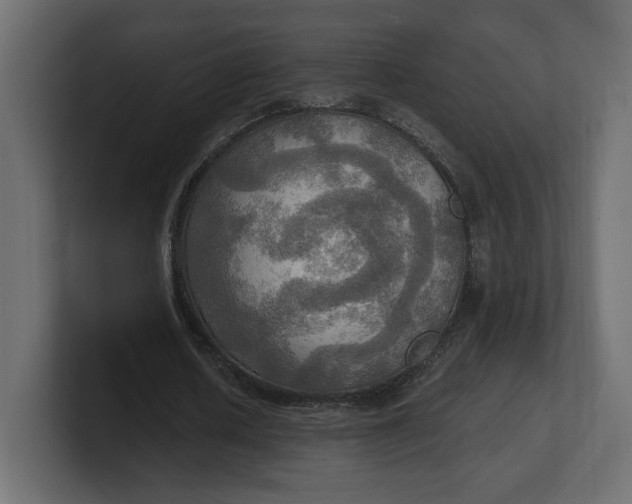 X0000100470626200806271142