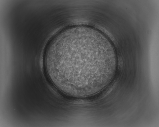 X0000100470629200806271142