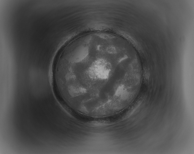 X0000100470630200806271142