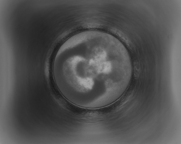 X0000100470631200806271142