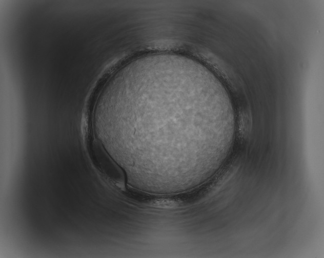 X0000100470636200806271142