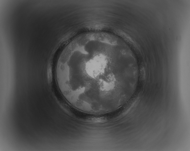 X0000100470638200806271142