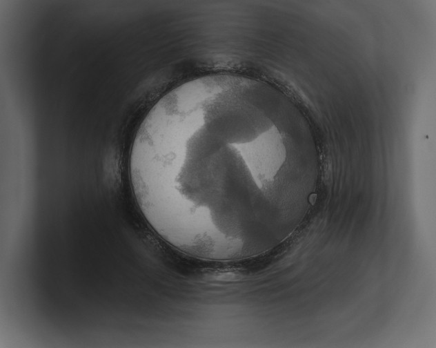 X0000100470643200806271142