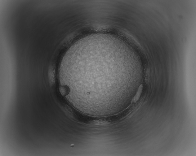 X0000100470644200806271142