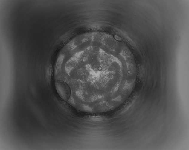 X0000100470645200806271142