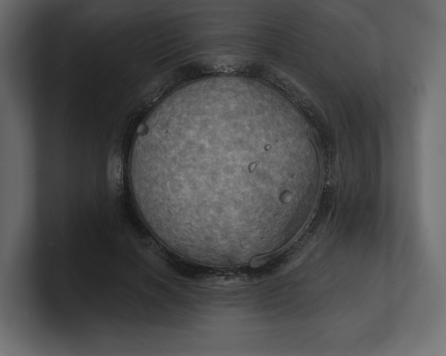 X0000100470646200806271142