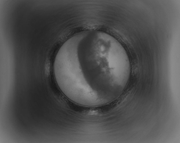 X0000100470647200806271142