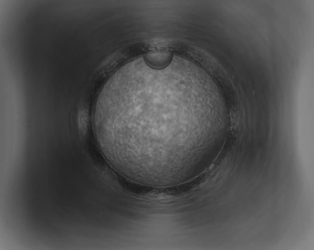 X0000100470648200806271142