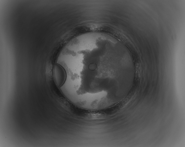 X0000100470650200806271142