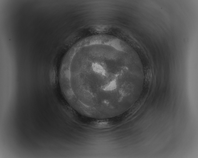 X0000100470651200806271142