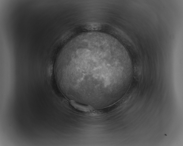 X0000100470652200806271142