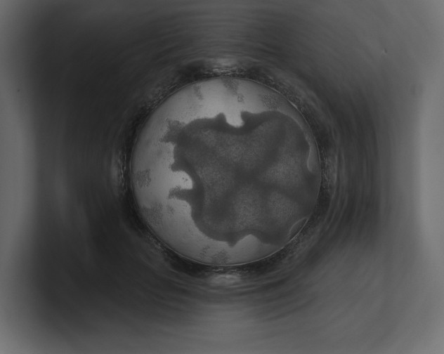 X0000100470653200806271142