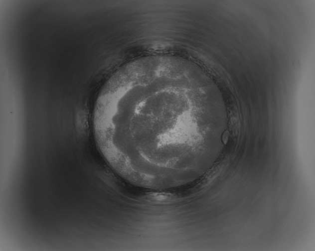 X0000100470654200806271142