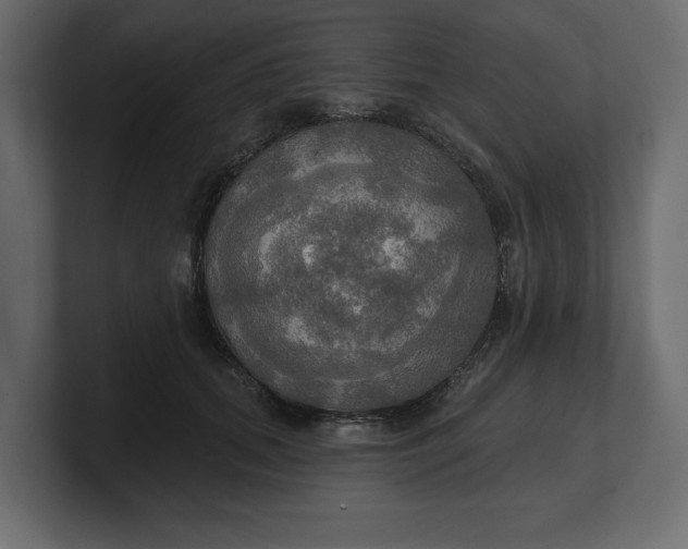 X0000100470655200806271142