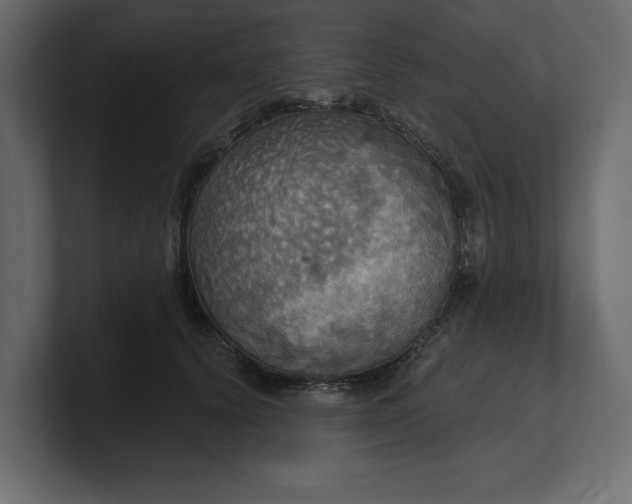 X0000100470656200806271142