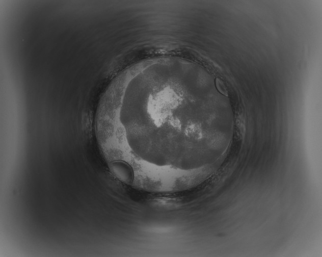 X0000100470657200806271142