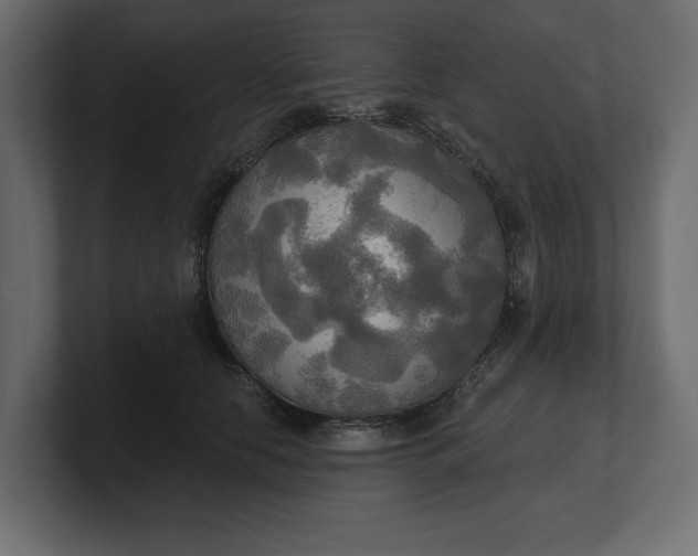 X0000100470658200806271142