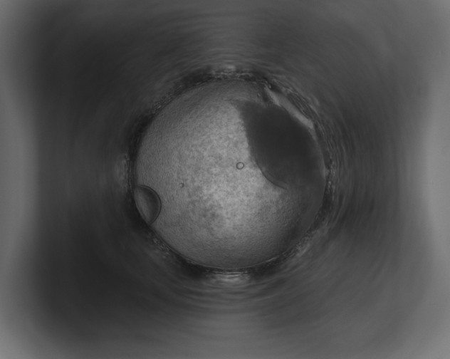 X0000100470659200806271142