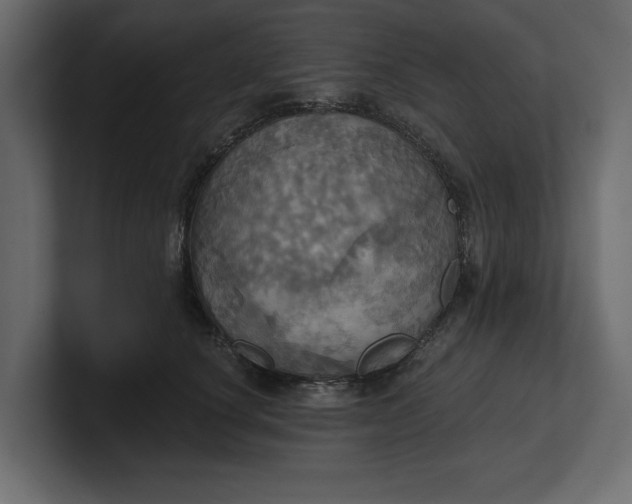 X0000100470660200806271142