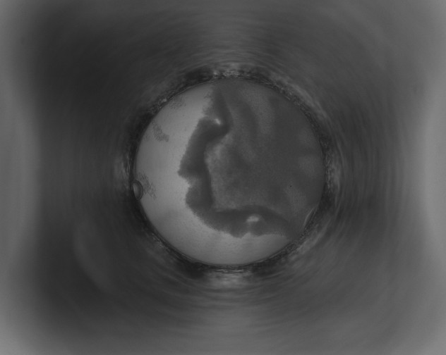 X0000100470661200806271142