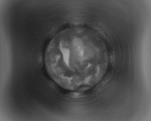 X0000100470662200806271142