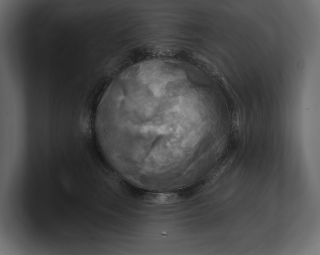 X0000100470663200806271143