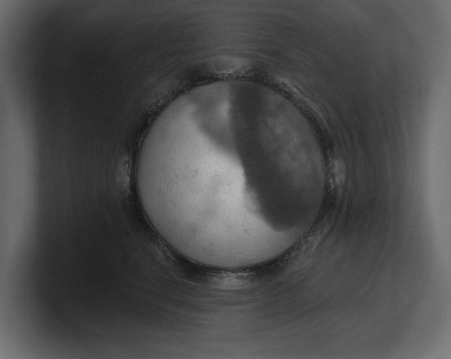 X0000100470664200806271143