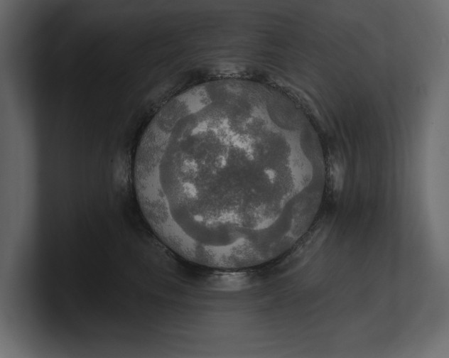 X0000100470665200806271143