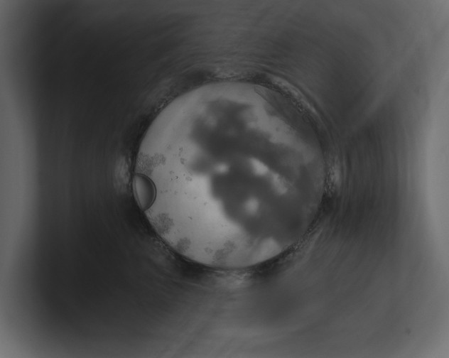 X0000100470667200806271143