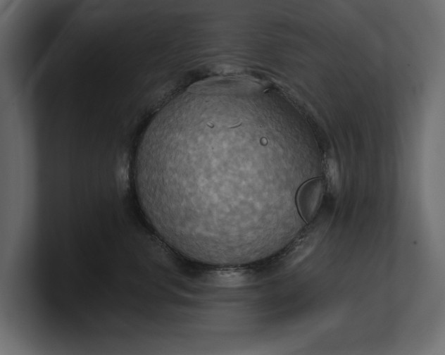 X0000100470668200806271143