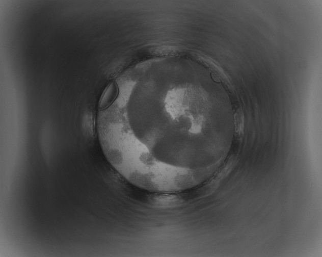 X0000100470669200806271143