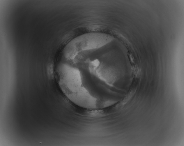 X0000100470670200806271143