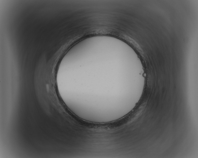 X0000100470673200806271142