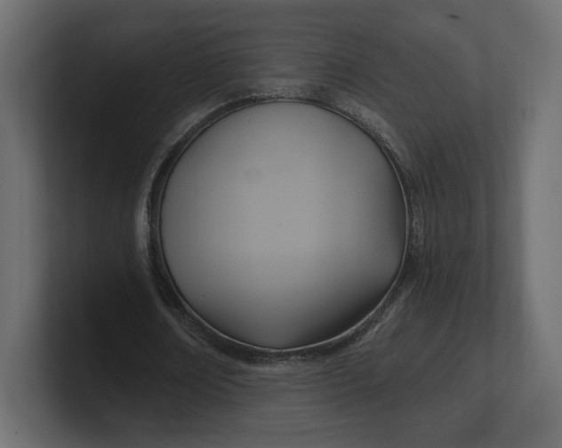 X0000100470674200806271142