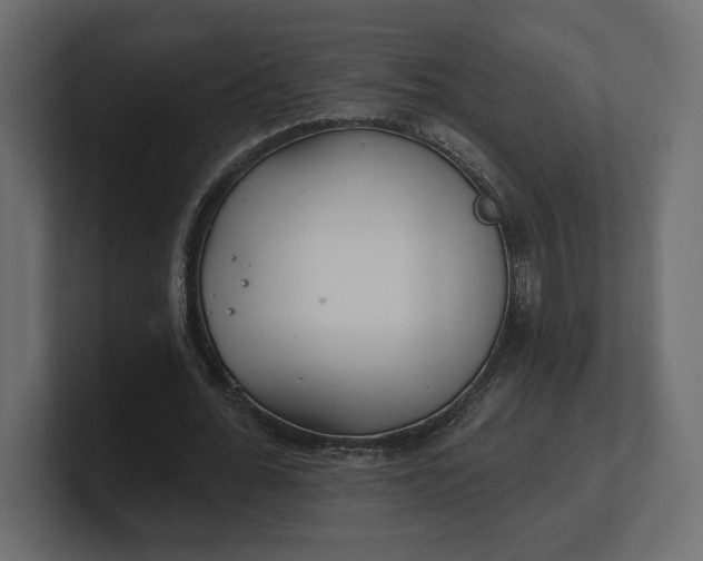 X0000100470676200806271142