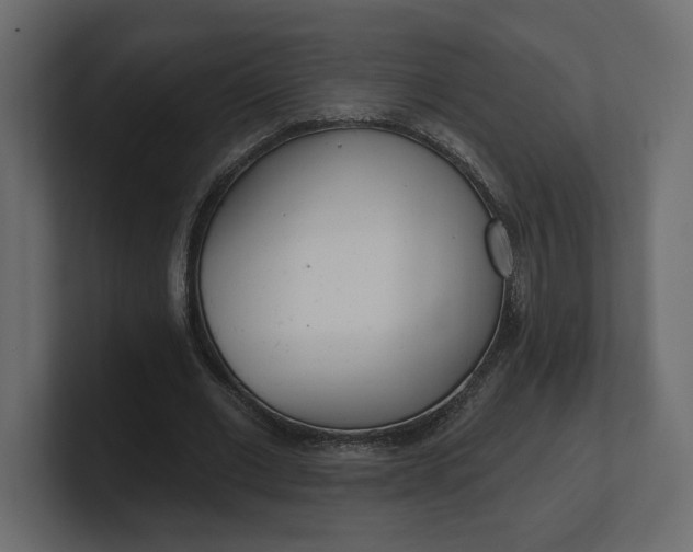 X0000100470677200806271142