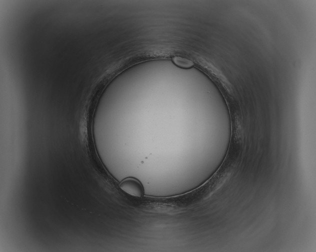 X0000100470681200806271142