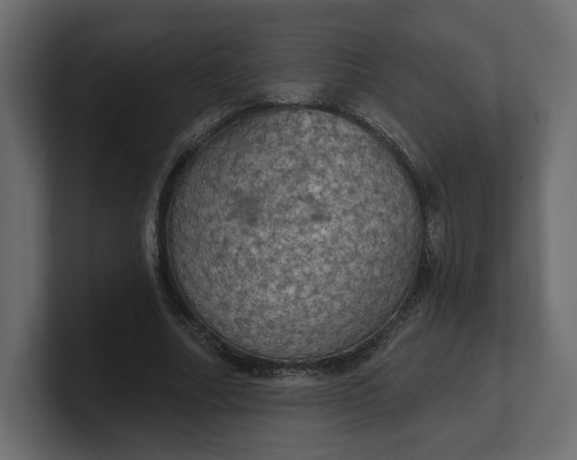 X0000100470682200806271142