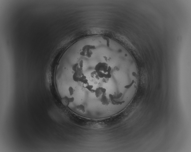 X0000100470683200806271142